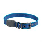 NITE IZE NiteDog Rechargeable LED Collar - L - Blue/Blue LED