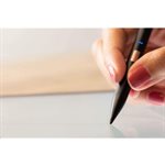 Adonit Note - UVC - Black Stylus for 2018 (or newer) iPad + iPad Pro