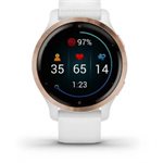 Garmin - Venu 2S - Boitier rose/or en acier inoxydable