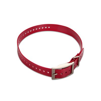 GARMIN 1-inch Collar Strap - Red