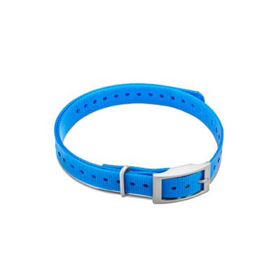 GARMIN 3/4" Square Buckle Collar Strap (Blue)