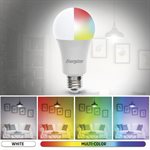 Energizer - Ampoule Wifi intelligente LED A19  Blanche et Multicolore - Paquet de 2