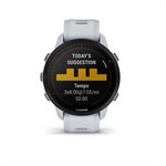 Garmin Forerunner 955 Solar Whitestone