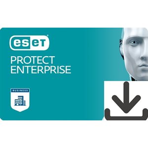 Eset - Protect Enterprise - Clé