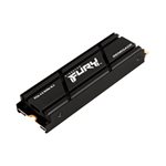 KINGSTON 500G FURY Renegade PCIe 4.0 NVMe M.2 2280 SSD with Heatsink