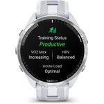 Garmin Forerunner 965, Titanium Bezel with Whitestone Case and Whitestone/Powder Gray Silicone Band